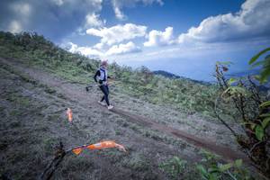 BIB: 5023
                            <button type="button" onclick="openModal(15955206)" class="btn btn-primary btn-sm float-right btn-popup" data-toggle="modal" data-target=".modal-high-quality">
                        <i class="fas fa-shopping-cart"></i> Add to Cart
                    </button>
                                            <button type="button" onclick="isThisMe(15955206, true)" class="btn btn-success btn-sm float-right btn-popup btn-isme hidden" data-toggle="tooltip" data-placement="bottom" title="นี่คือรูปของคุณใช่ไหม คลิกที่นี่เพื่อเอาเข้าอัลบั้ม">
                        <i class="fas fa-plus"></i> Add to album
                    </button>
                    <button type="button" onclick="isThisMe(15955206, false)" class="btn btn-warning btn-sm float-right btn-popup btn-isnotme hidden">
                        <i class="fas fa-ban"></i> Remove from album
                    </button>